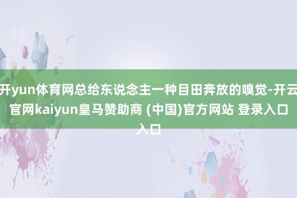 开yun体育网总给东说念主一种目田奔放的嗅觉-开云官网kaiyun皇马赞助商 (中国)官方网站 登录入口