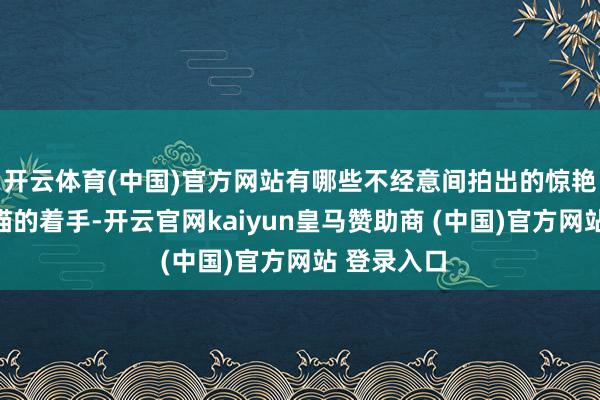 开云体育(中国)官方网站有哪些不经意间拍出的惊艳像片?熊猫的着手-开云官网kaiyun皇马赞助商 (中国)官方网站 登录入口