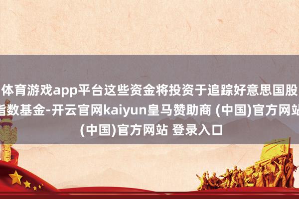 体育游戏app平台这些资金将投资于追踪好意思国股市大盘的指数基金-开云官网kaiyun皇马赞助商 (中国)官方网站 登录入口