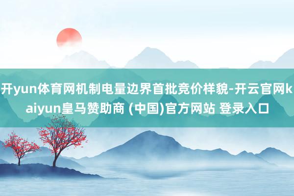 开yun体育网机制电量边界首批竞价样貌-开云官网kaiyun皇马赞助商 (中国)官方网站 登录入口